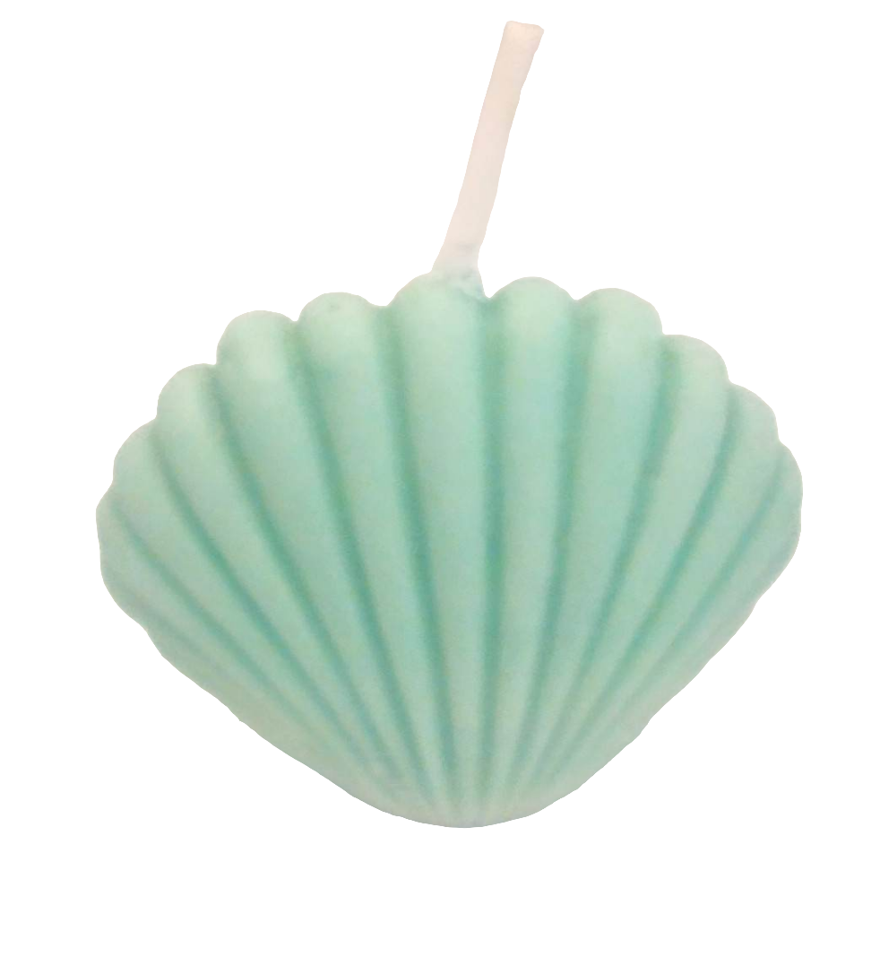 Shell soya lys lille